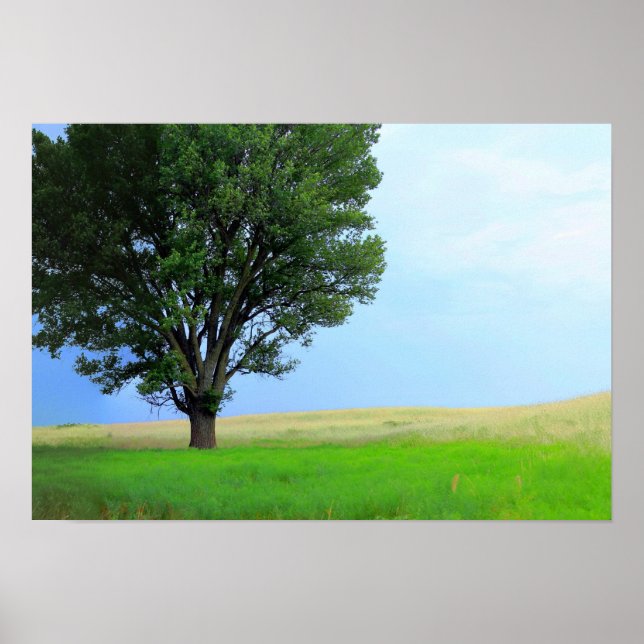 Poster Tempête Sèche Au-Dessus Des Prairies De L'Oklahoma (Devant)
