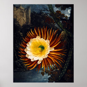 Poster Temple D'Art Botanique De Flora Nuit Frappant Cere