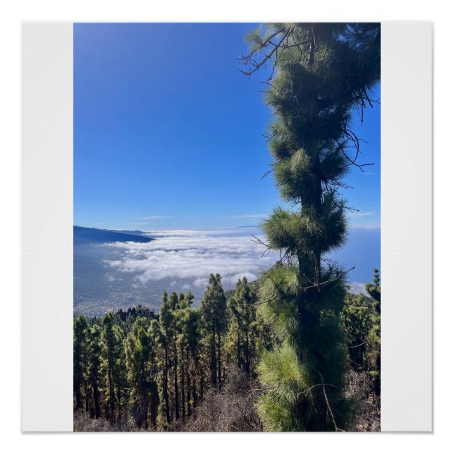 Poster Tenerife bliss.. (Devant)