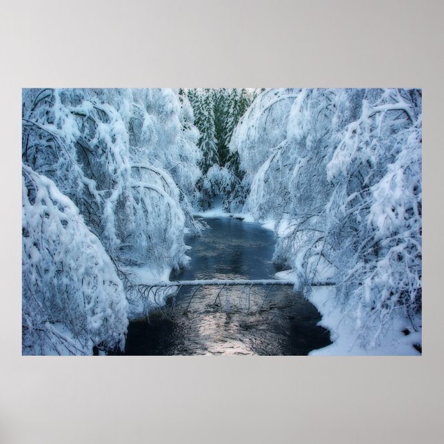 Poster Terre Des Elfes (Devant)