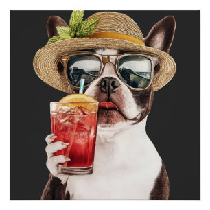 Poster Terrier de Boston