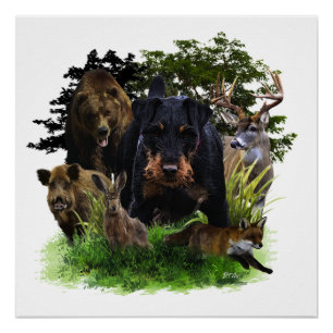 Poster Terrier de chasse allemand (Jagdterrier)