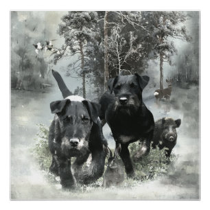 Poster Terrier de chasse allemand, Le Jagdterrier, Art