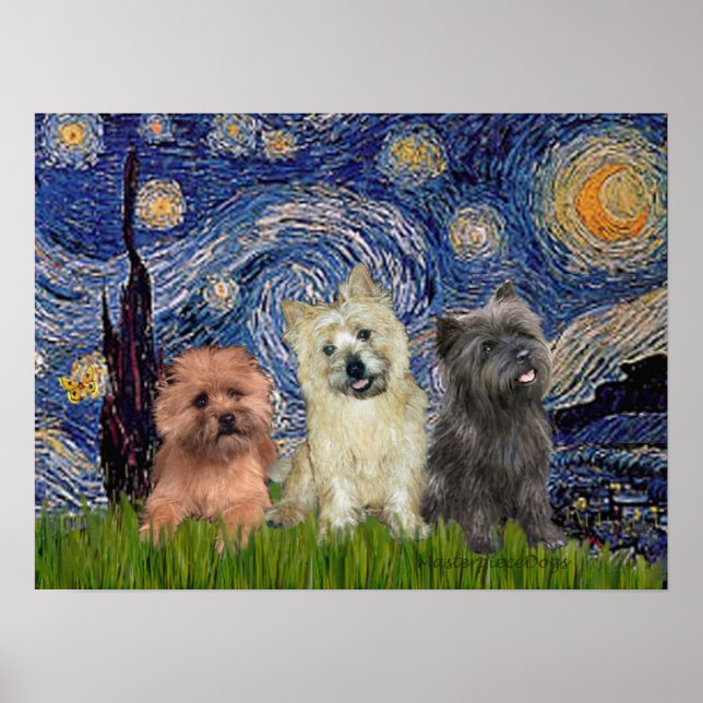 Poster Terriers Cairn (trois) - Nuit étoilée (Devant)