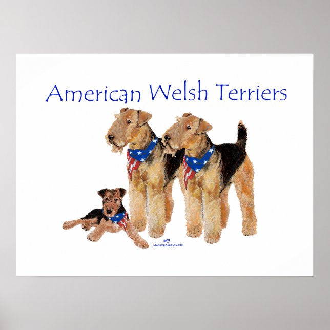 Poster Terriers gallois américains (Devant)