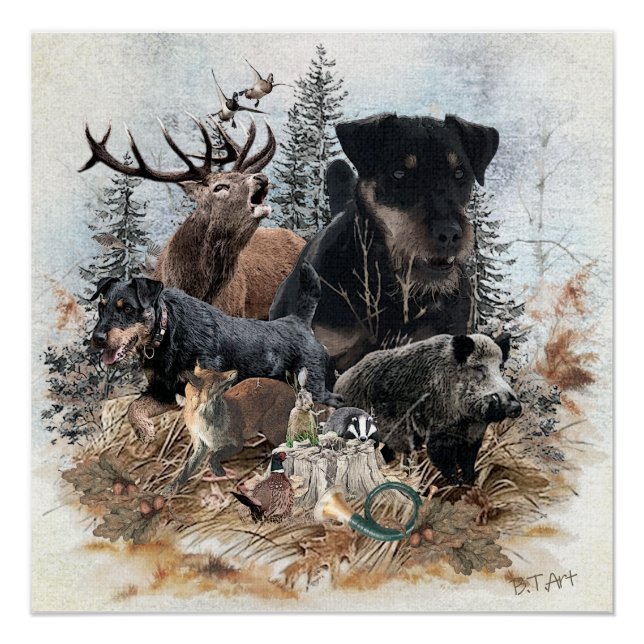 Poster Tervueren allemand de chasse (Jagdterrier) (Devant)