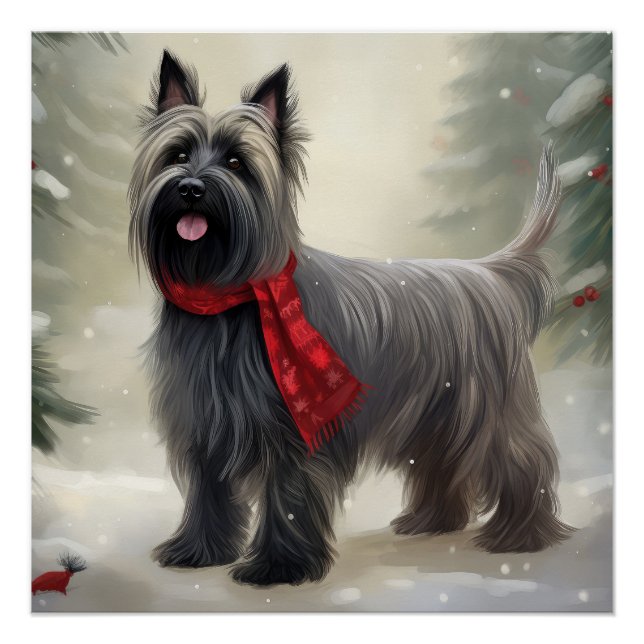 Poster Tervueren dans la neige de Noël (Devant)