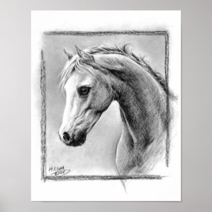 Poster Tête de cheval Dessin de charbon de bois Art équin