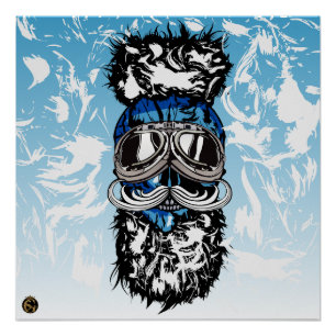 Poster Tête de mort punk hipster G-skulls crâne roi glace