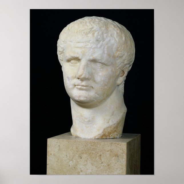 Poster Tête de Titus (Devant)