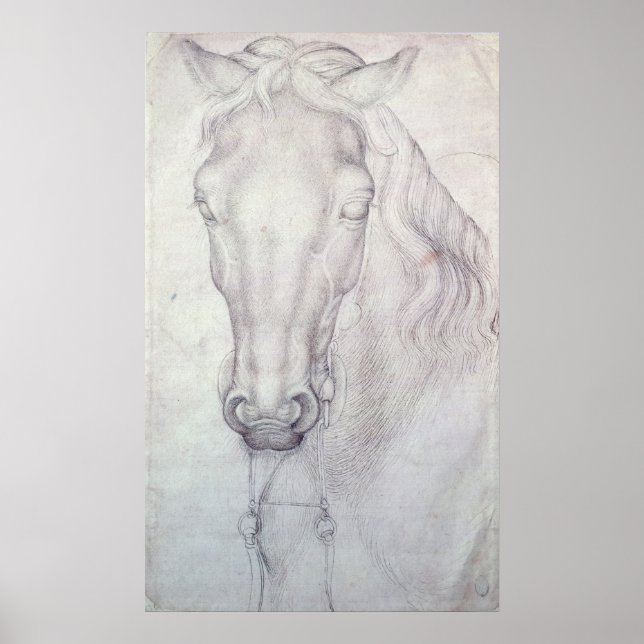 Poster Tête d'un cheval (Devant)