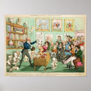 Poster Têtes et cerveaux des veaux; une Phrenologie
