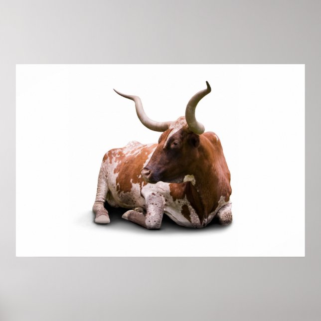 Poster Texas Longhorn Imprimer (Devant)