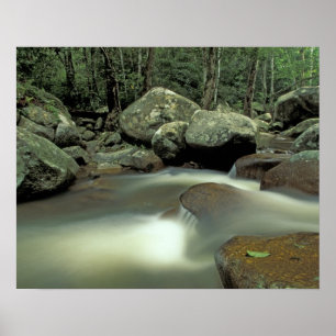 Poster Thaïlande, île de Kohsamui, paysage de forêt tropi