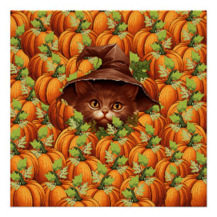 POSTER THANKSGIVING CITROUILLE CUTE CAT