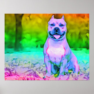 Poster The American Pit Bull Terrier Dog