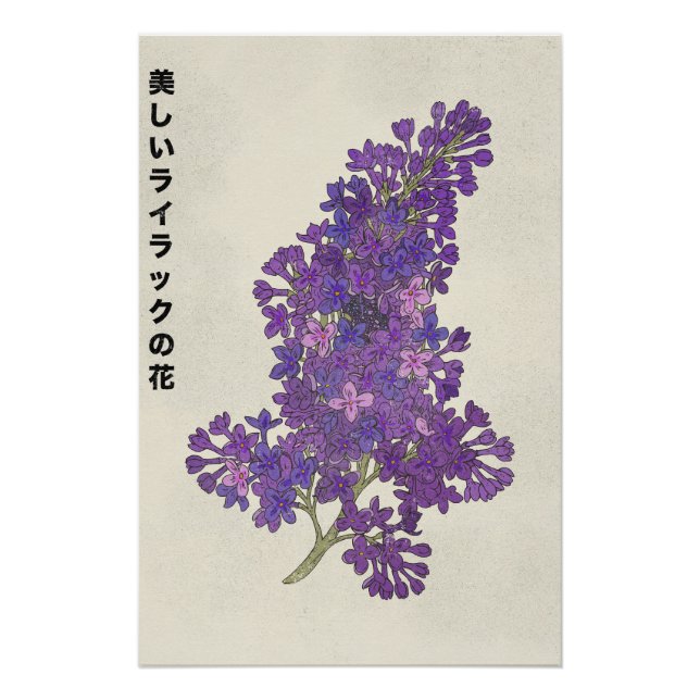 Poster The Beautiful Lilac Flower (Devant)