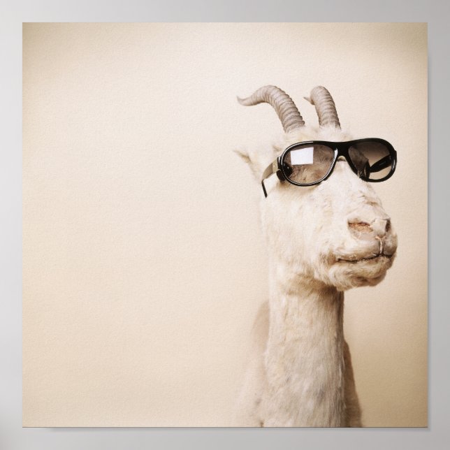 Poster The goat (Devant)