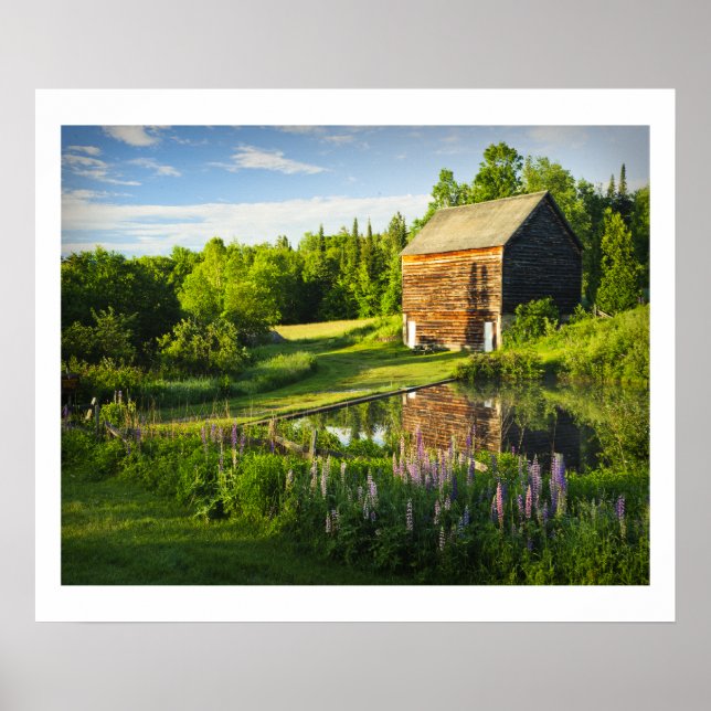 Poster The John Brown Farm in the Adirondacks, N.Y. (Devant)