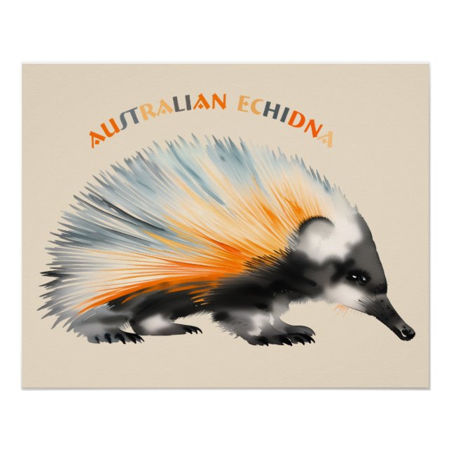 Poster The prickly Australian Echidna (Devant)