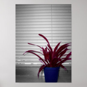 Poster The Purple Plant