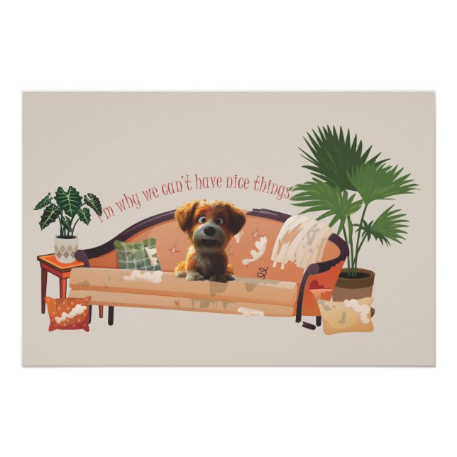 Poster The reason we can't have nice things (Devant)