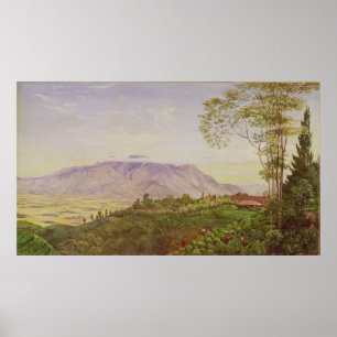 Poster Thé recueillant dans la plantation de M. Hoelle's