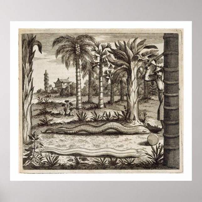 Poster The Stone Snake, from 'China Illustrated' by Athan (Devant)