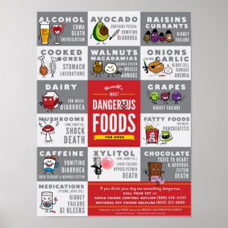 Poster The World's Most Dangerous Foods For Dogs