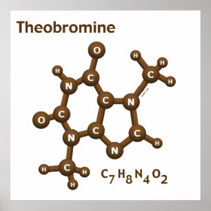 Poster Théobromine