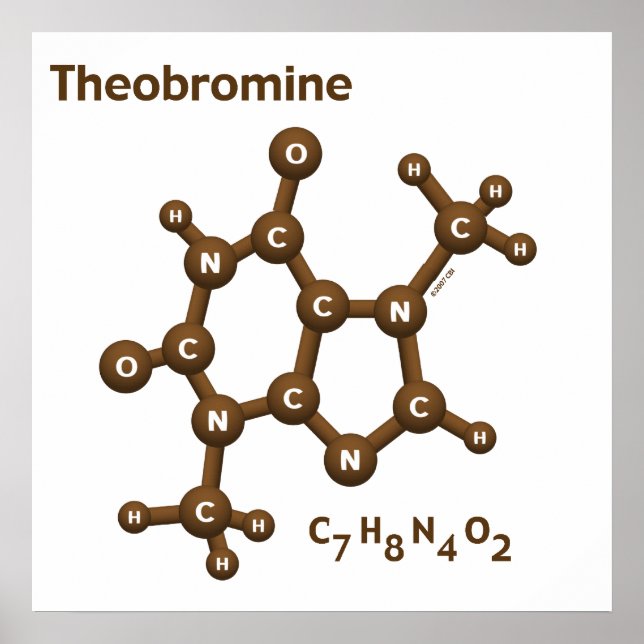 Poster Théobromine (Devant)