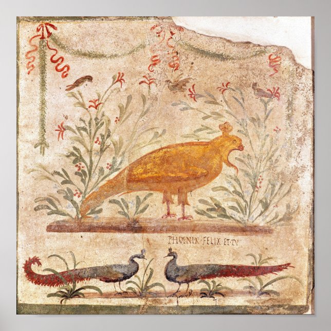 Poster thermopolium représentant phoenix et inscription (Devant)