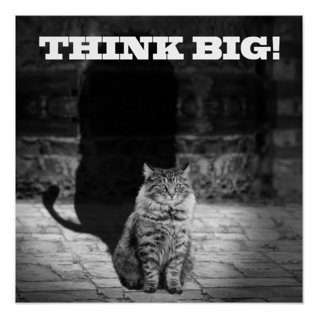 Poster "Think Big" Cat Shadow 20" x 20" (Devant)