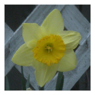 Poster Think Spring!