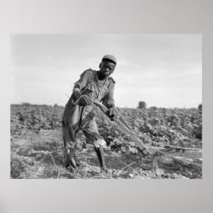 Poster Thirteen-year old Plowing a Field in Georgia