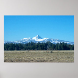 Poster Three Fingered Jack