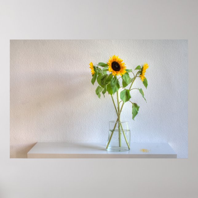 Poster Three Sunflowers (Devant)