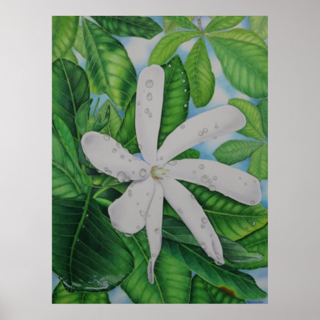 Poster Tiare Tahiti (Devant)