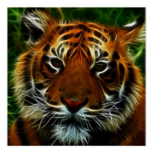 POSTER TIGER