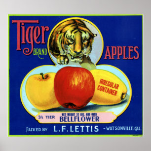 Poster Tiger Apples Watsonville Californie