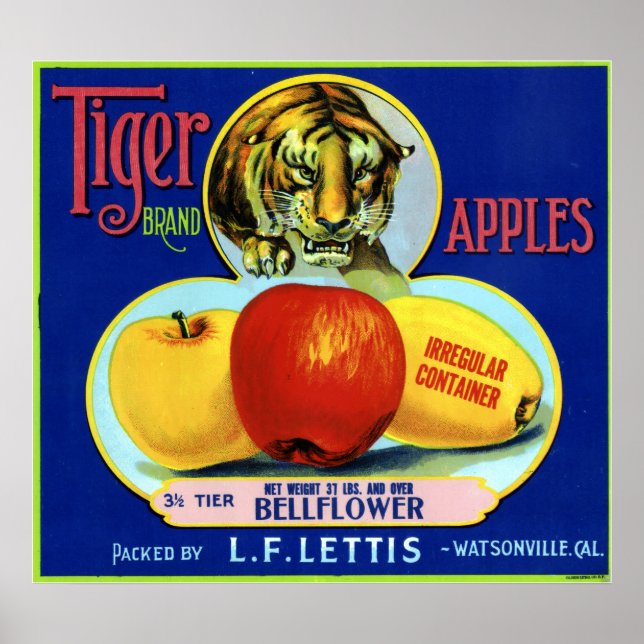 Poster Tiger Apples Watsonville Californie (Devant)