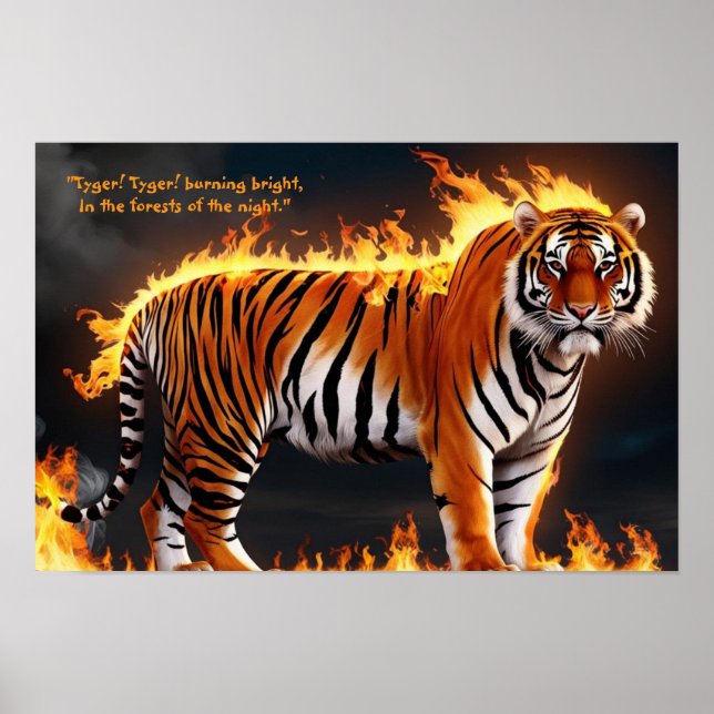 Poster Tiger Burning (Devant)