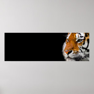 Poster Tiger Eyes Wild Animal Art Courage Leadership