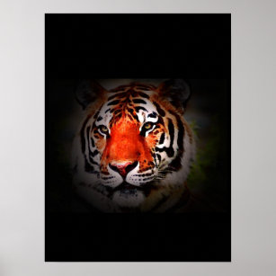 Poster Tiger Imprimer - Pop Art Style Tigers Poste