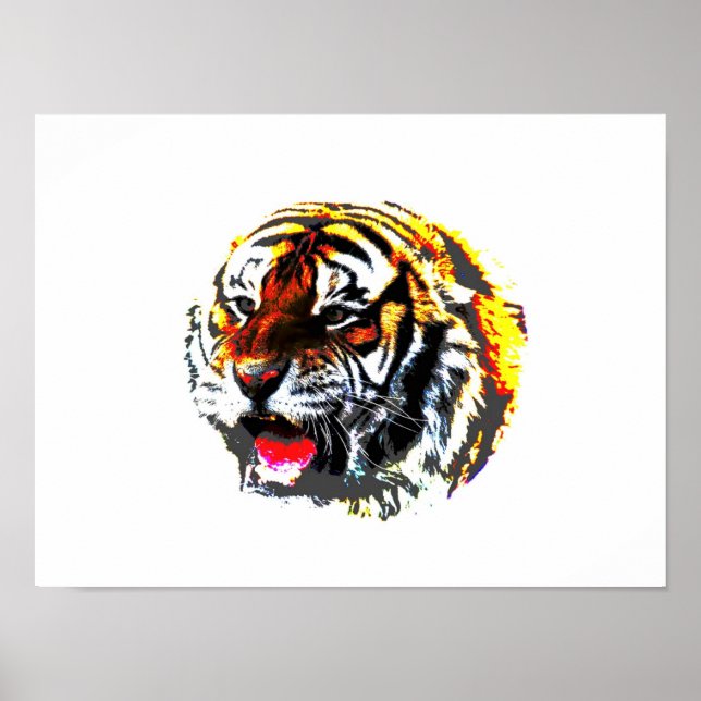 Poster Tiger Imprimer - Posters Sibériens Tigers (Devant)