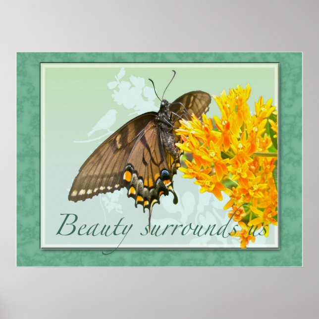 Poster Tiger Swallowtail Butterfly Beauté autour de nous (Devant)