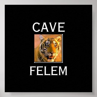 Poster TIGERBeware Du Chat - En Latin.... - CUSTOMISÉ