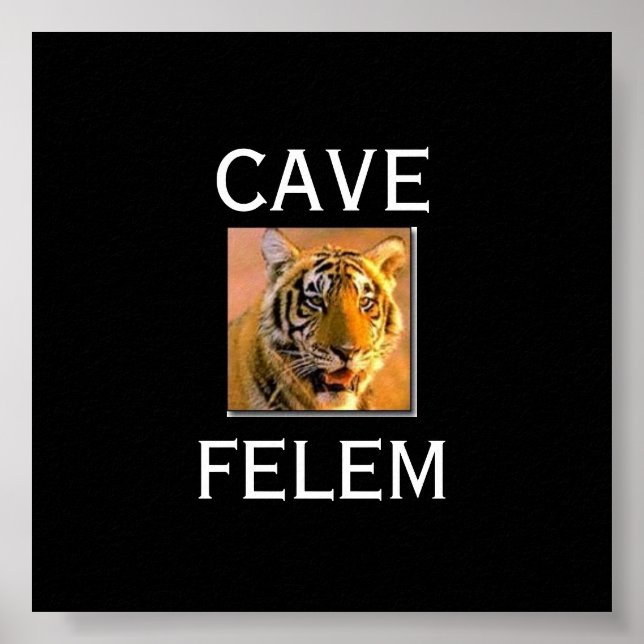 Poster TIGERBeware Du Chat - En Latin.... - CUSTOMISÉ (Devant)