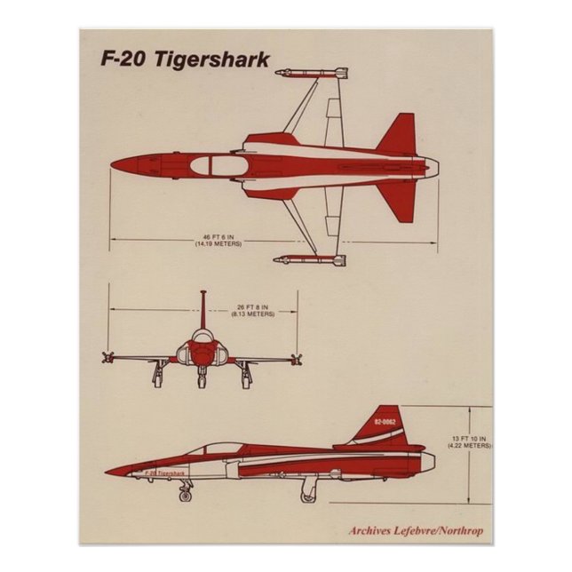 Poster tigershark f20 (Devant)