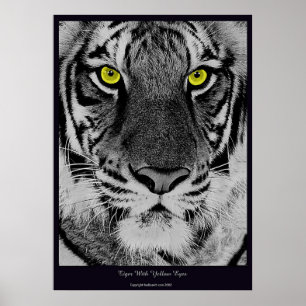 Poster Tigre avec les yeux jaunes